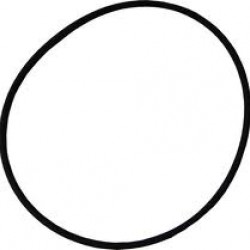 8" Waterco Lacron Filter Lid O-Ring